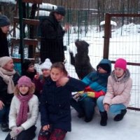 "Мы в ответе за тех, кого приручили "